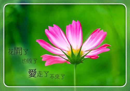 薄总的醋坛子又被踢翻了全文小说盛夏薄言斯最新章节阅读