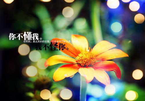 封少，团宠夫人是神医七七小说免费阅读