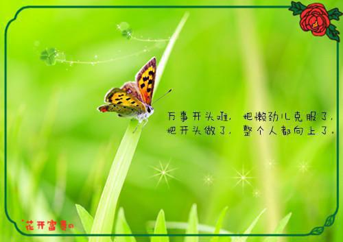 萌宝在上妈咪别乱跑高甜小说云未央霍寒川无错版阅读