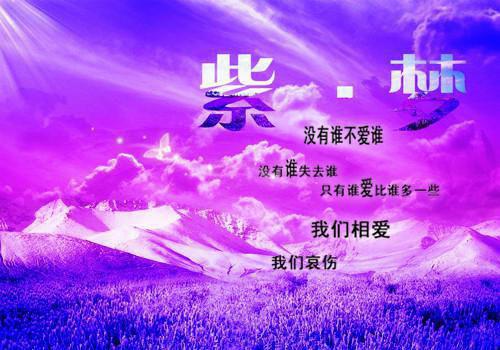 嫡妃为后五小姐打瓶酱油小说（完整版）阅读