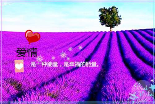 比较感人的英语句子
