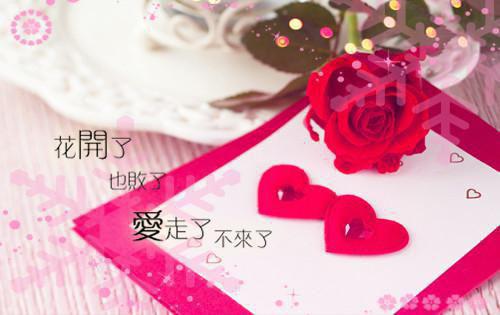 《单身闺蜜安沁》全本小说_安沁宋熠全本阅读