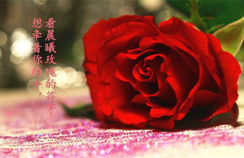 防溺水保证书范文600字