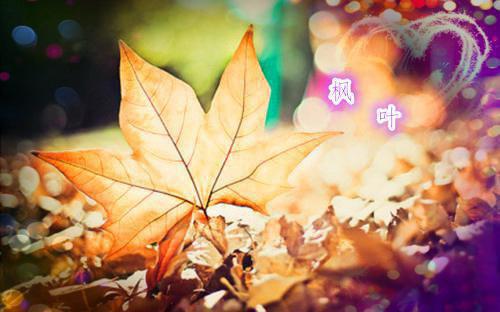 十里红妆战神萌妃有点甜小说 罗雁城萧战在线阅读