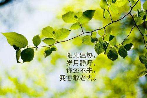 3楼写的小说狂傲天骄最新阅读