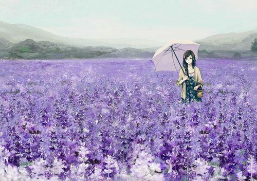 狂龙战神李锋王瑾儿 狂龙战神全文阅读