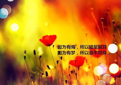 无敌龙帅萧晨光爆焱最新小说全文阅读