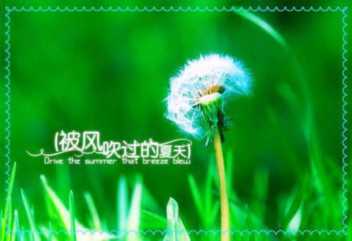 农村公路标语
