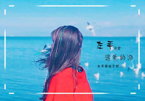 离婚后她成了白月光全文阅读_许暖言言辰小说免费阅读
