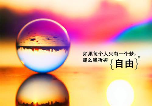 完结版小说玄学世子妃带飞记温锦南宫九幽by莜小灵免费阅读