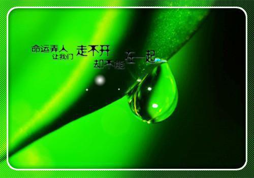 [完结]三十妻全章节阅读