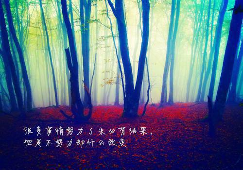 挫折的尽头就是成功
