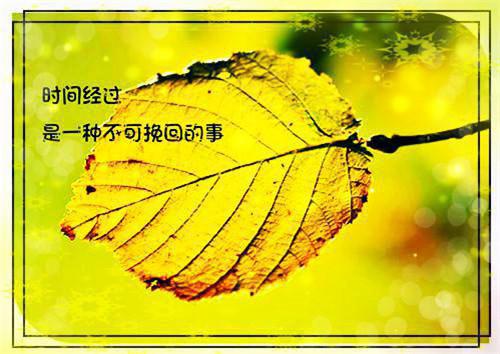（顾念谢铭叙池微月）全文免费阅读无弹窗大结局
