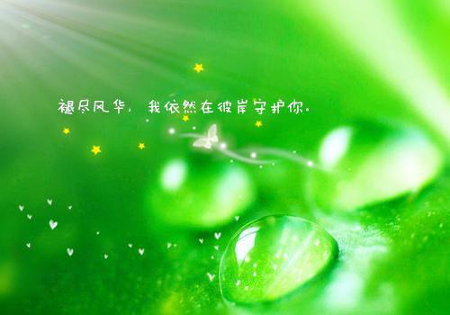 婚浅情深离婚吧我克夫小说秦双双宗墨辰全书阅读