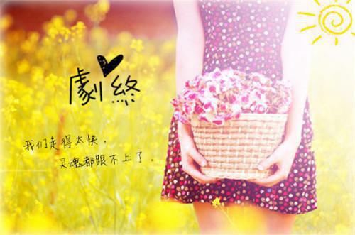 美学散步读书笔记