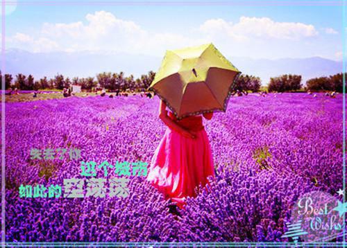 关于诗词大会作文集合六篇