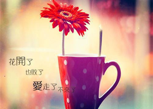 “创业英雄”季琦的财富密码