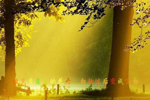 人生感悟：大多数人其实并不在意你