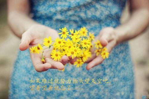 阿尔博姆名言