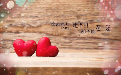 黎婉辞贺凌屿小说(又风又雪又见月)外篇+结局（黎婉辞贺凌屿）全篇在线阅读