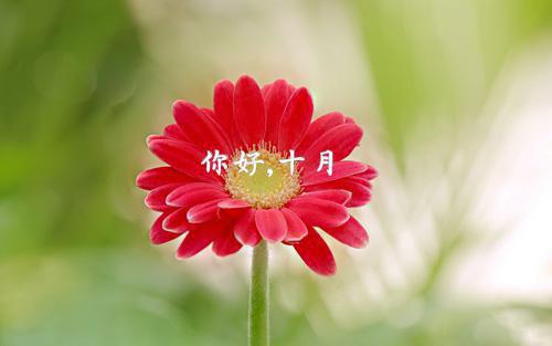 青春，我还有很多梦想