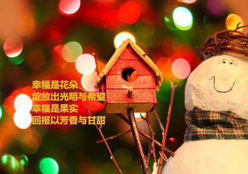 全文小说大佬的咸鱼女配要翻身叶轻轻顾泽辰免费阅读