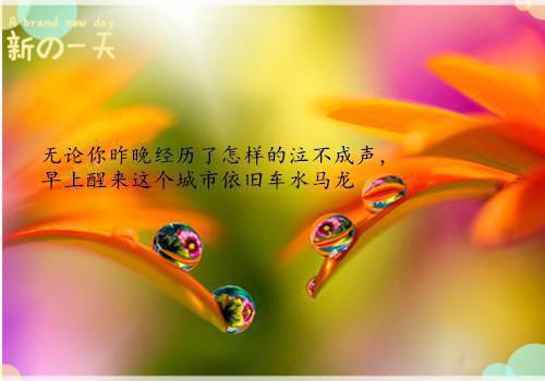 现言躲不过的温柔小说董西柏松南完整版阅读