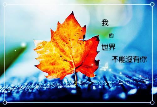 超极战神军医(都市)小说萧叶苏雨溪慕倾城全篇阅读