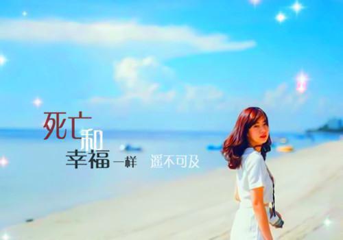 紧急迫降观后感
