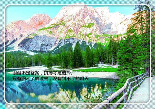 愿你有喜欢做的事，也有不屈才的心