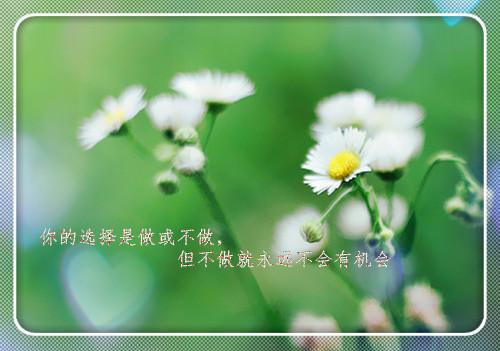 胜利的微笑作文