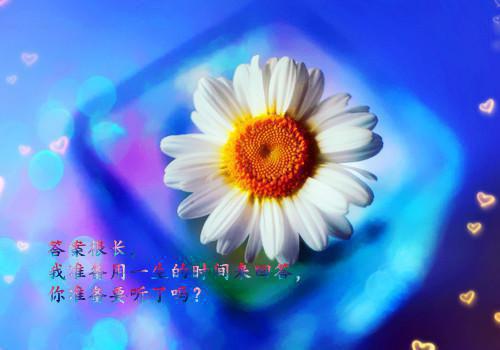 裴辞渊洛音（洛音裴辞渊）全文在线阅读无弹窗大结局_（裴辞渊洛音）裴辞渊洛音免费最新章节列表（裴辞渊洛音）