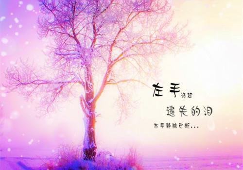 我的温柔鬼夫君苏文文在线阅读-我的温柔鬼夫君全文免费阅读