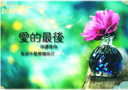 第一狂妃：妖孽王爷来入赘完整版小说_第一狂妃：妖孽王爷来入赘全文免费阅读