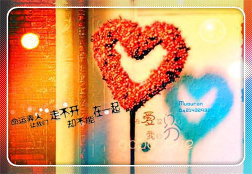 慕小小尹少桀林珊珊小说 失去他的绝望女主血癌全集阅读