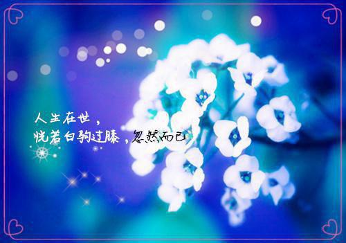 第1章小说谢先生的逃跑心尖阅读