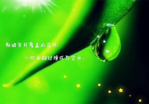 总裁追妻火葬场叶青兰墨锦天 一胎三宝总裁追妻火葬场小说免费阅读