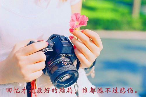 伏龙殿楚天不败龙帝小说楚念陆语彤无删减阅读