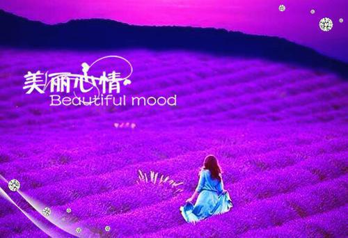 伟大的母亲作文