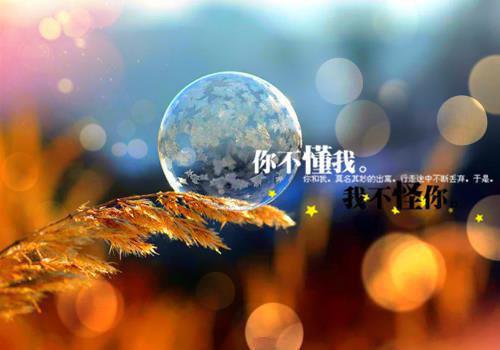 写景作文500字