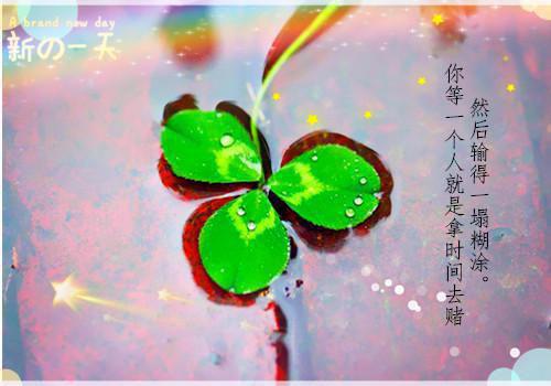 新上《上门狂婿江宁》花小刺小说免费阅读