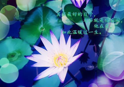 人生可能是一条曲线