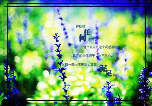 张爱玲：必也正名乎