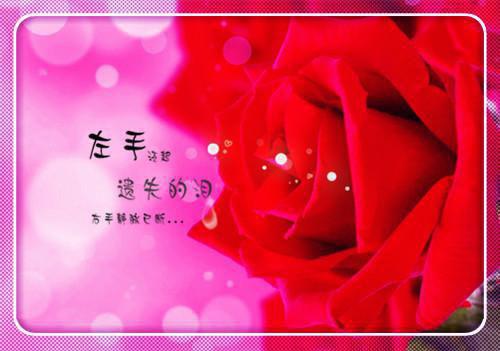 (爽文)近身神卫在都市小说秦浩苏婉目录阅读