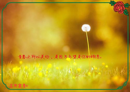 爆款小说重生八零：甜宠娇妻有点辣全文免费阅读