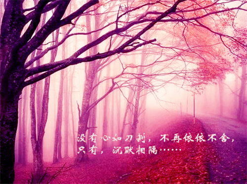 《风吟》小说by无笔主角梁熙无错版阅读