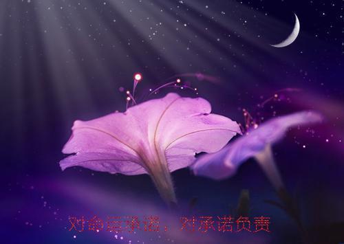 比烟花更喜欢的写的小说穿书恶毒女配求生不易小说全文阅读
