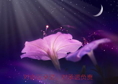 (全章节)神豪：我！分手后被女神姐姐告白-神豪：我！分手后被女神姐姐告白荭豆在线阅读