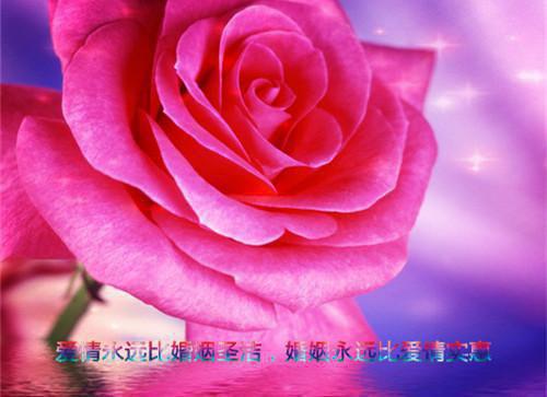 沈清衍裴令仪 小说小说全集+延伸+完本（他做他的九千岁，我走我的阳关道）畅享在线阅读