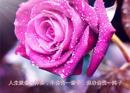 教师节香奈儿广告语
